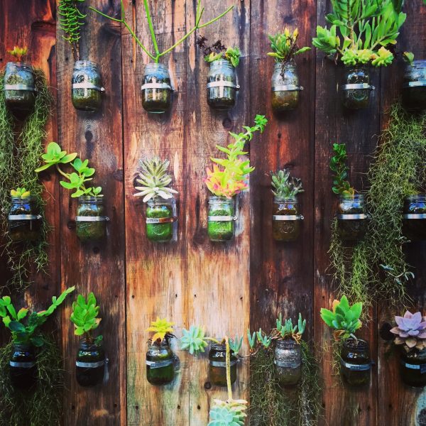 Wall Gardening